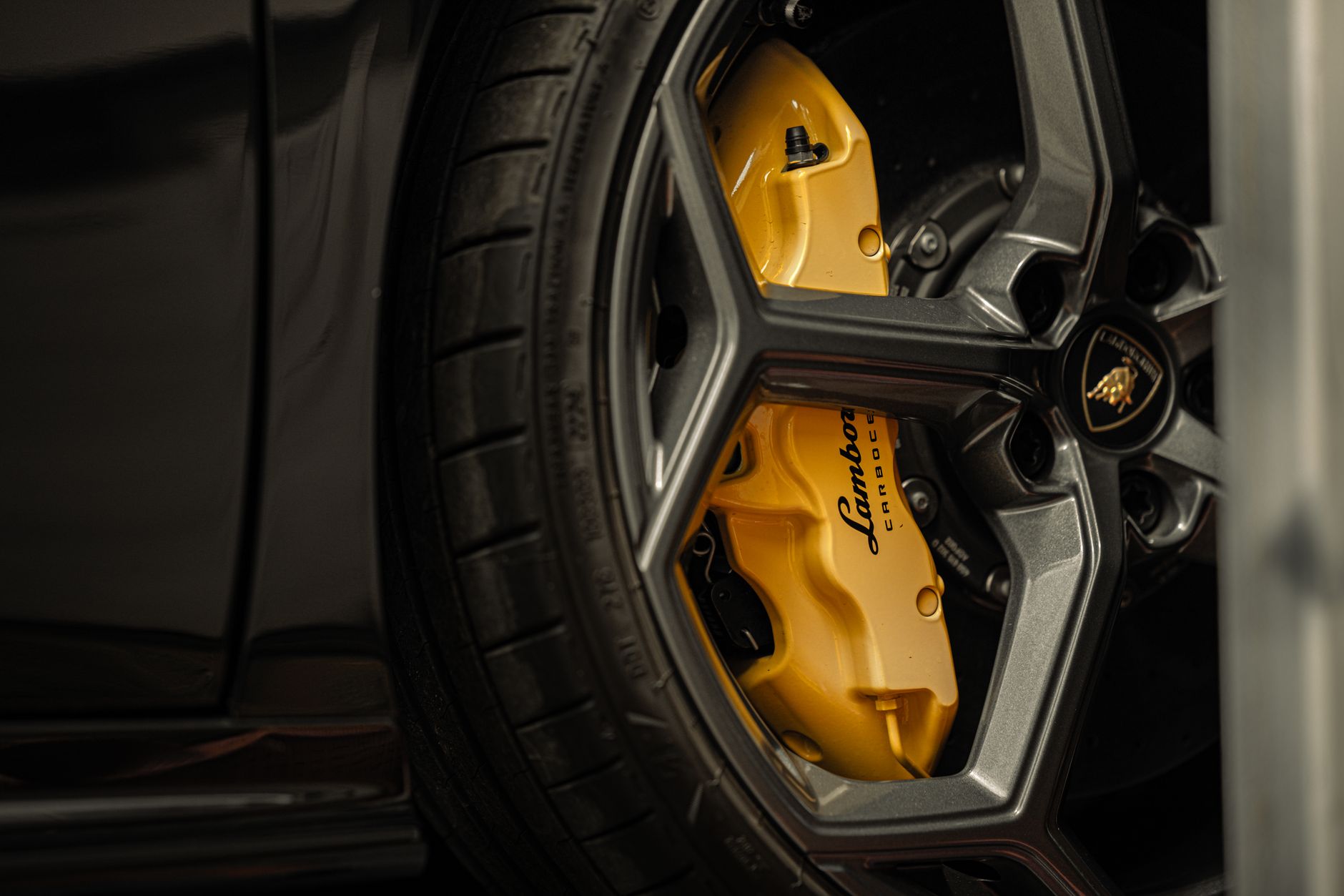 Paint Correction – New Braunfels